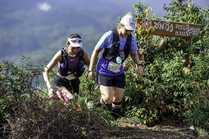 BIB: 230, 
                            <button type="button" onclick="openModal(24766044)" class="btn btn-primary btn-sm float-right btn-popup" data-toggle="modal" data-target=".modal-high-quality">
                        <i class="fas fa-shopping-cart"></i> Add to Cart
                    </button>
                                            <button type="button" onclick="isThisMe(24766044, true)" class="btn btn-success btn-sm float-right btn-popup btn-isme hidden" data-toggle="tooltip" data-placement="bottom" title="นี่คือรูปของคุณใช่ไหม คลิกที่นี่เพื่อเอาเข้าอัลบั้ม">
                        <i class="fas fa-plus"></i> Add to album
                    </button>
                    <button type="button" onclick="isThisMe(24766044, false)" class="btn btn-warning btn-sm float-right btn-popup btn-isnotme hidden">
                        <i class="fas fa-ban"></i> Remove from album
                    </button>